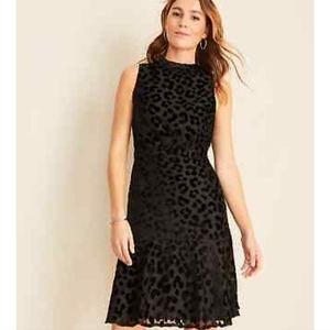 Ann Taylor Cheetah Velvet Mock Neck Sheath Dress